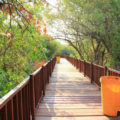 mangrove wonorejo e1513551013536 120x120 - Harga Tiket Masuk Taman Wisata Hutan Mangrove Wonorejo Surabaya
